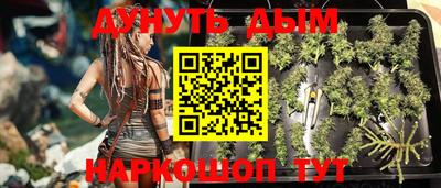 прущие крисы Апшеронск